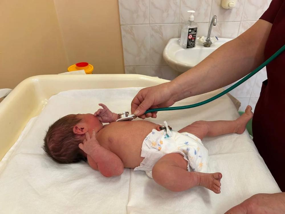 Трогательные цифры первого полугодия: 258 новых жизней!